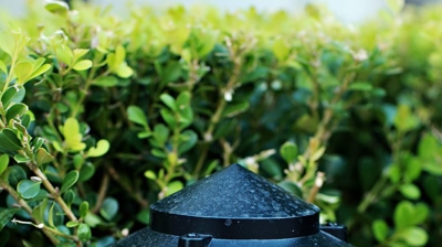 Exterior Pathway Lighting Close-Up Photo
