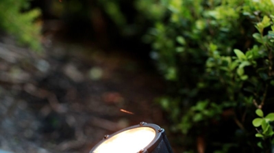 Exterior Pathway Lighting Close-Up Photo