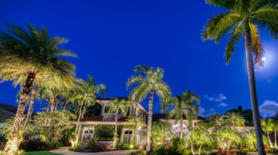 Landscape Lighting Photo