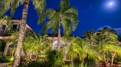 Landscape Lighting Photo