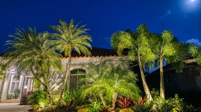 Landscape Lighting Photo